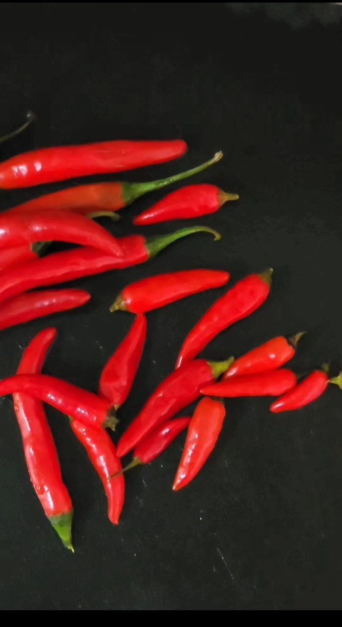 Fresh red chillies